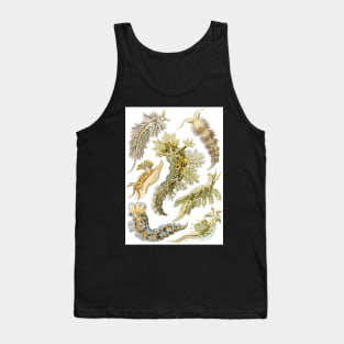 Sea Slugs Nudibranchia by Ernst Haeckel Tank Top